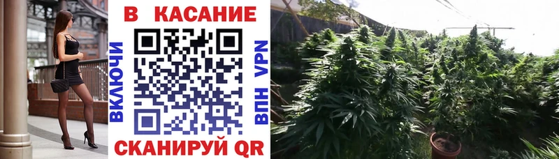 Как найти наркотики Онега Бошки Шишки Кокаин Гашиш Меф