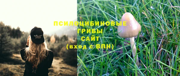 дживик Навашино