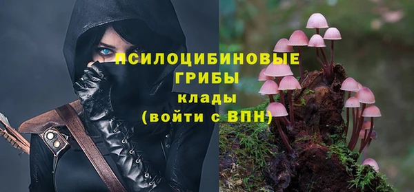мдпв Наволоки