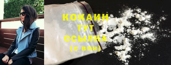 дживик Навашино