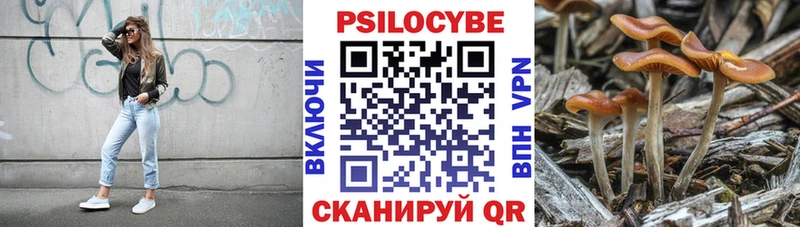 Псилоцибиновые грибы Psilocybine cubensis  Онега 